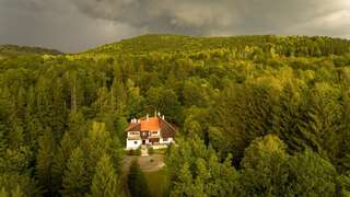 Фото Отели типа «постель и завтрак» Kormos Residence г. Brăduţ